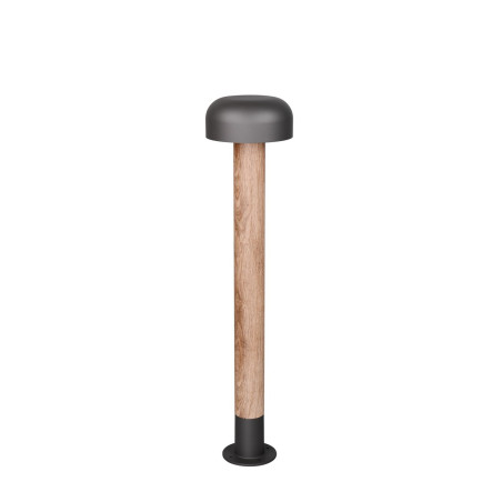 Lampa zewnętrzna stojąca FRASER 462560135 Trio