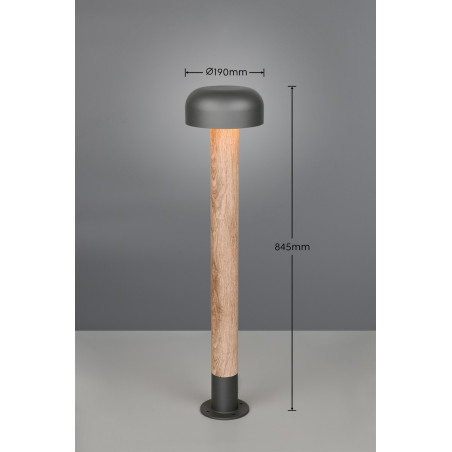 Lampa zewnętrzna stojąca FRASER 462560135 Trio