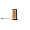Lampa stołowa KALEA 555510130 Trio
