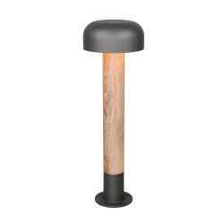 Lampa zewnętrzna stojąca FRASER 562560135 Trio