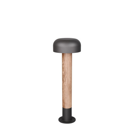 Lampa zewnętrzna stojąca FRASER 562560135 Trio