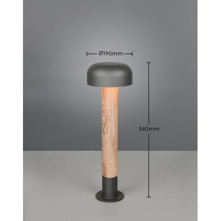 Lampa zewnętrzna stojąca FRASER 562560135 Trio