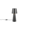 Lampa stołowa NUBIAN 562900132 Trio