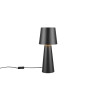 Lampa stołowa NUBIAN 562900132 Trio