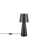 Lampa stołowa NUBIAN 562900132 Trio