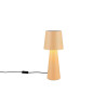 Lampa stołowa NUBIAN 562900144 Trio