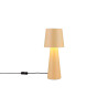 Lampa stołowa NUBIAN 562900144 Trio