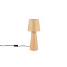 Lampa stołowa NUBIAN 562900144 Trio