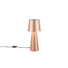 Lampa stołowa NUBIAN 562900165 Trio