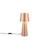 Lampa stołowa NUBIAN 562900165 Trio