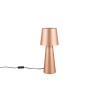 Lampa stołowa NUBIAN 562900165 Trio