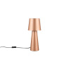 Lampa stołowa NUBIAN 562900165 Trio