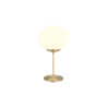Lampa stołowa FOMENTO 563100108 Trio