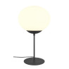 Lampa stołowa FOMENTO 563100132 Trio