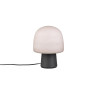 Lampa stołowa STEEN 568200132 Trio
