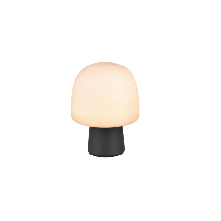 Lampa stołowa STEEN 568200132 Trio