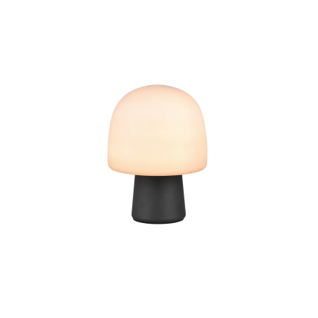 Lampa stołowa STEEN 568200132 Trio