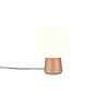 Lampa stołowa STEEN 568200165 Trio