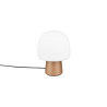 Lampa stołowa STEEN 568200165 Trio