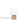 Lampa stołowa STEEN 568200165 Trio