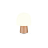 Lampa stołowa STEEN 568200165 Trio