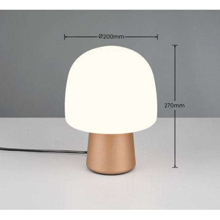 Lampa stołowa STEEN 568200165 Trio