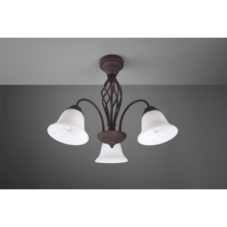 Lampa sufitowa RUSTICA 601000324 Trio