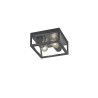 Lampa zewnętrzna sufitowa GARONNE 601860242 Trio