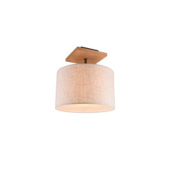 Lampa sufitowa ELMAU 602100130 Trio