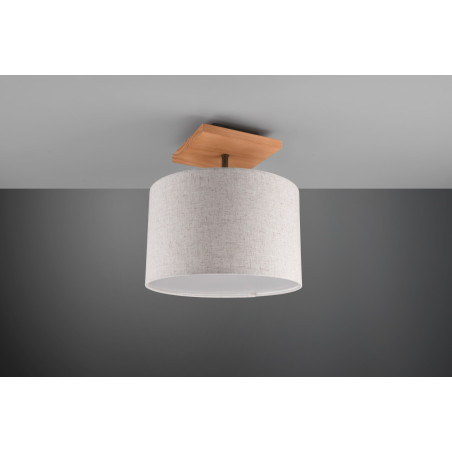 Lampa sufitowa ELMAU 602100130 Trio