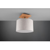 Lampa sufitowa ELMAU 602100130 Trio