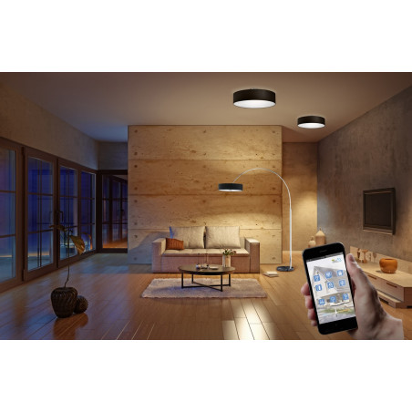 Lampa sufitowa HOTEL 603900302 Trio