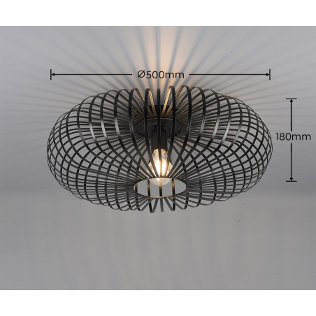 Lampa sufitowa JOHANN 606905032 Trio