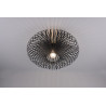 Lampa sufitowa JOHANN 606905032 Trio