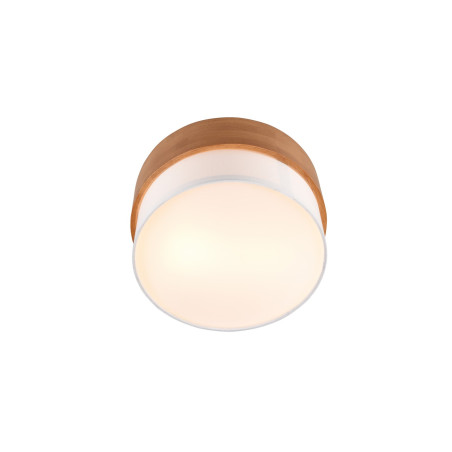 Lampa sufitowa SEASONS 611500201 Trio