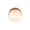 Lampa sufitowa SEASONS 611500201 Trio