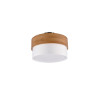 Lampa sufitowa SEASONS 611500201 Trio