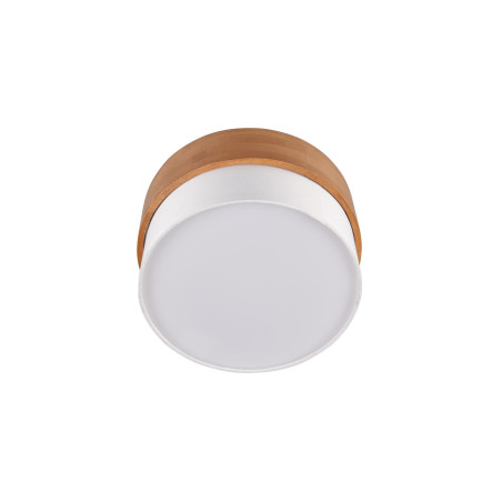 Lampa sufitowa SEASONS 611500201 Trio