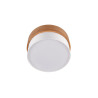 Lampa sufitowa SEASONS 611500201 Trio