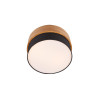 Lampa sufitowa SEASONS 611500202 Trio