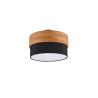 Lampa sufitowa SEASONS 611500202 Trio