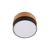Lampa sufitowa SEASONS 611500202 Trio