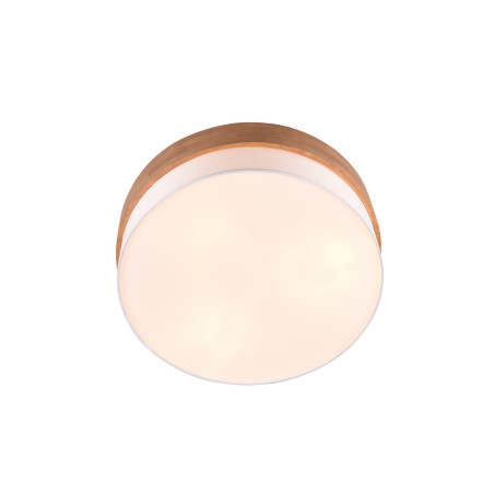 Lampa sufitowa SEASONS 611500301 Trio