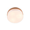 Lampa sufitowa SEASONS 611500301 Trio