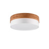 Lampa sufitowa SEASONS 611500301 Trio