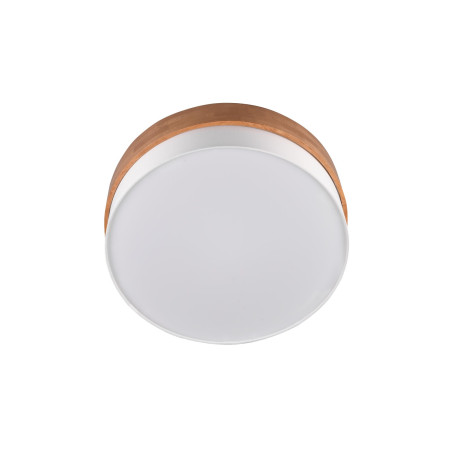 Lampa sufitowa SEASONS 611500301 Trio