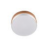 Lampa sufitowa SEASONS 611500301 Trio