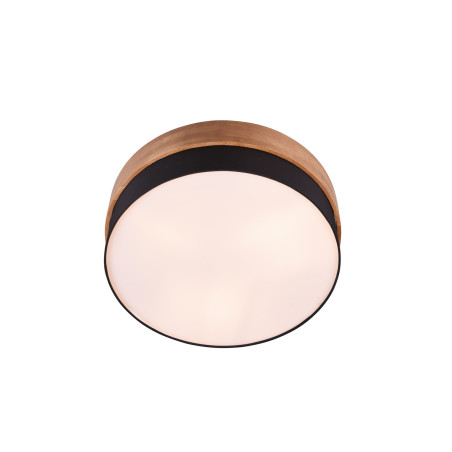Lampa sufitowa SEASONS 611500302 Trio