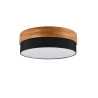 Lampa sufitowa SEASONS 611500302 Trio