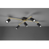 Lampa sufitowa, reflektorek MARLEY 612400580 Trio